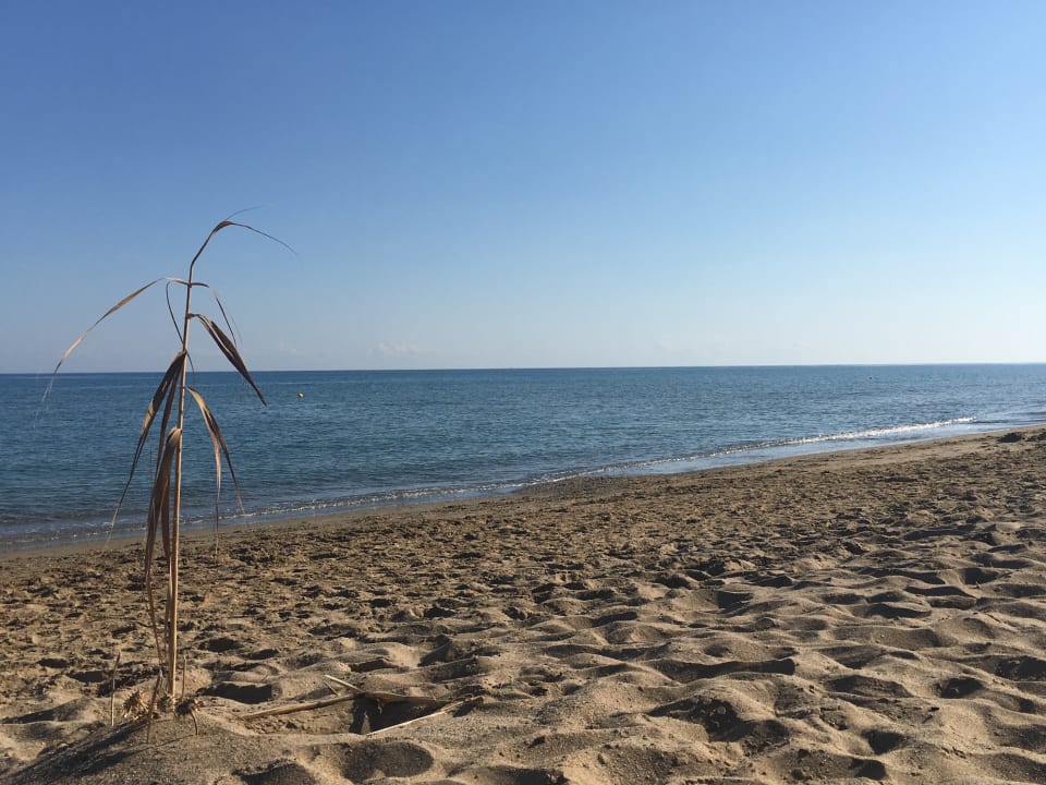 Strand Anemos Luxury Grand Resort