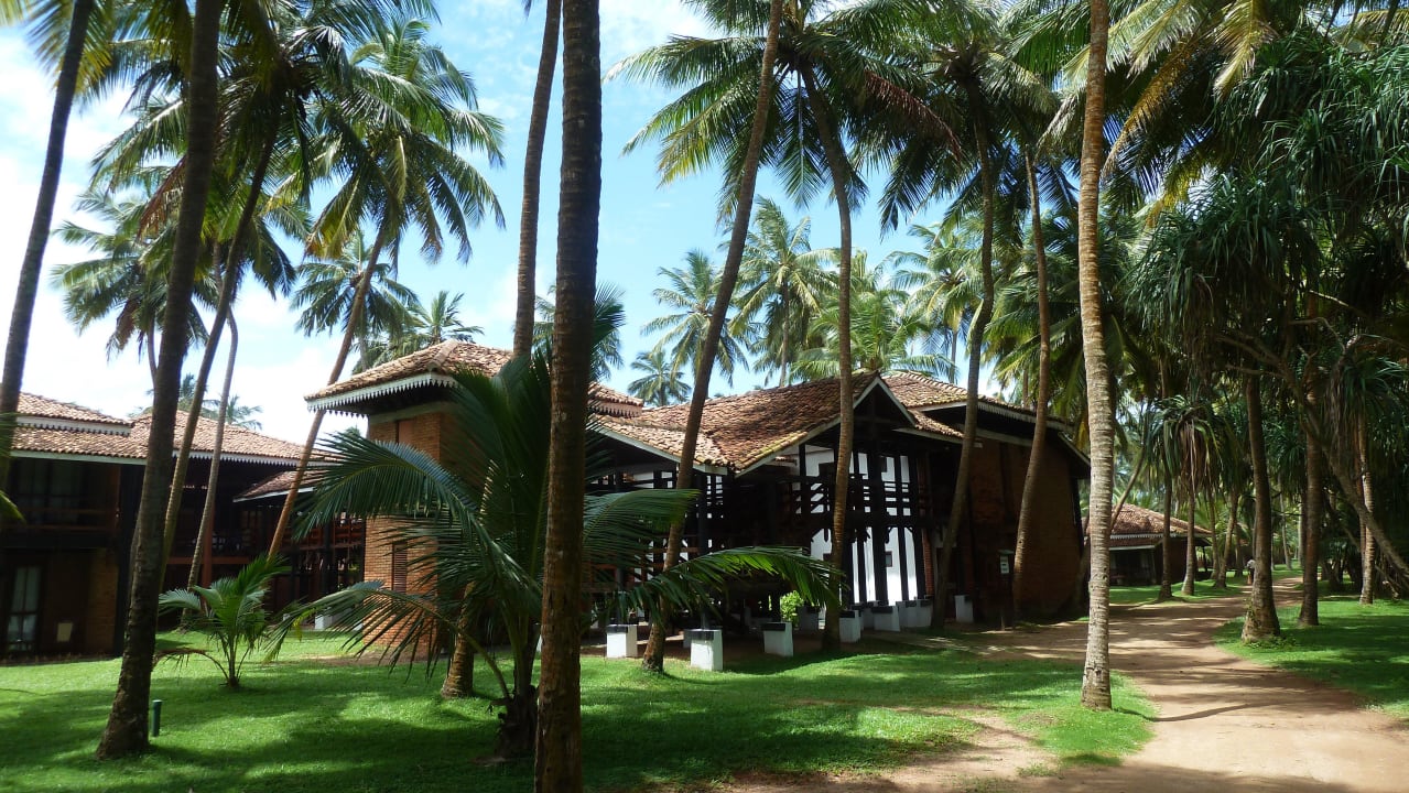 Hotel Club Bentota Hotel Club Bentota