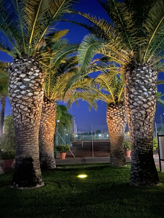 Sport & Freizeit TUI MAGIC LIFE Calabria