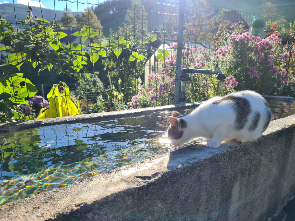 Gartenanlage Bauernhof Bernhardenhof