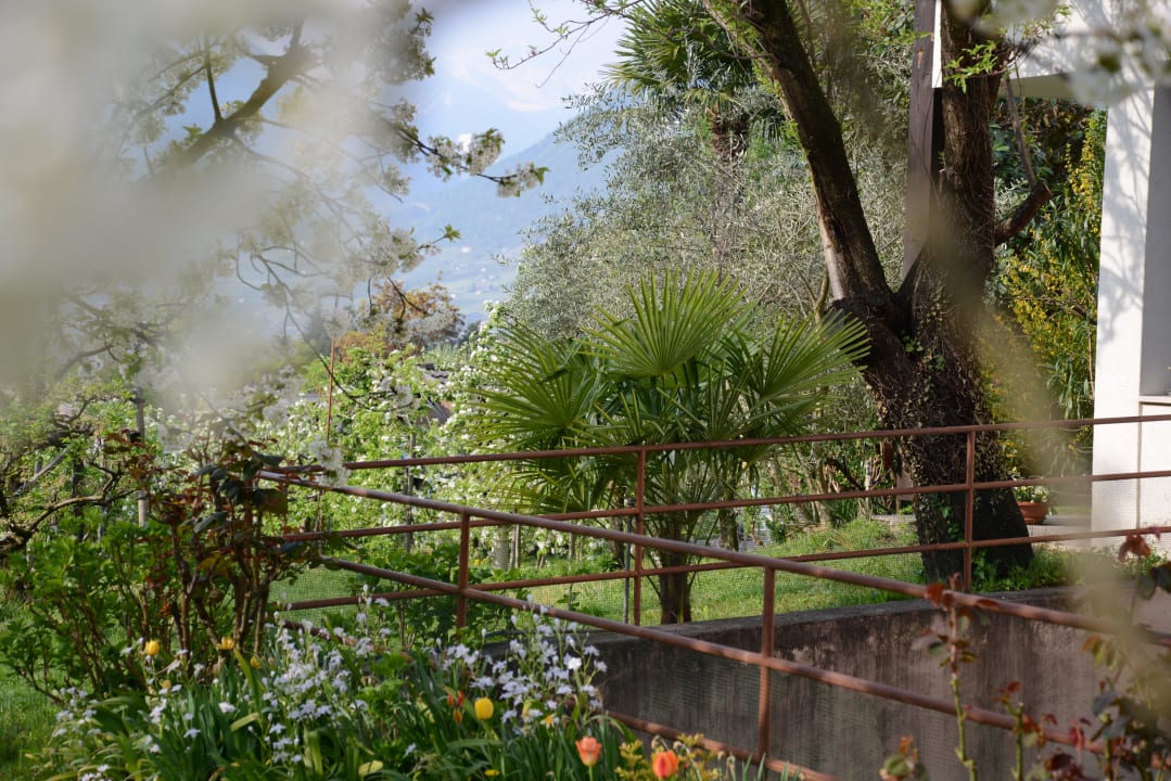 Gartenansicht Hotel Tannerhof