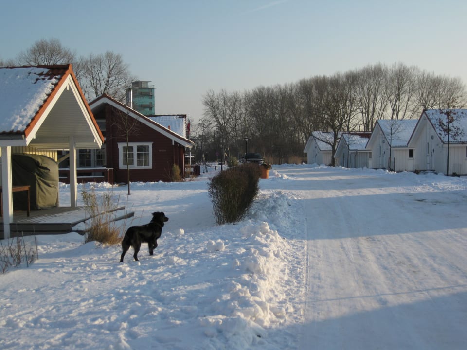 Hundefreundliche Anlage im Winter Strandhäuser am Leuchtturm
