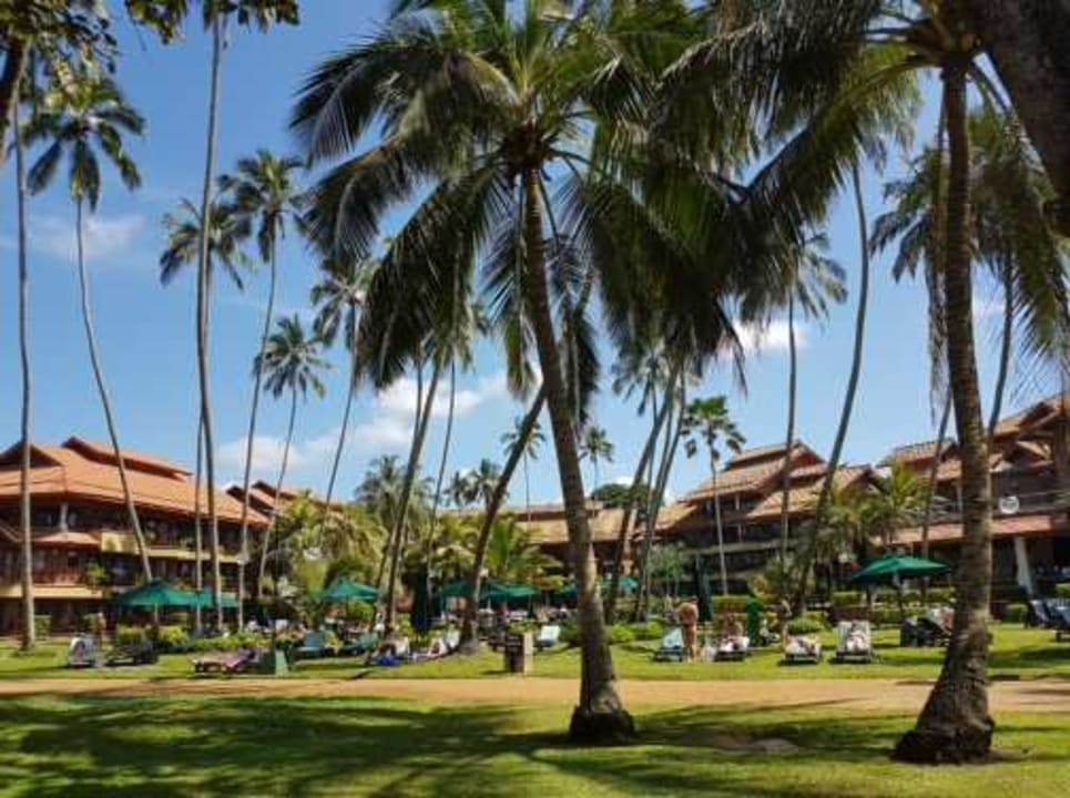 Gartenanlage Royal Palms Beach Hotel