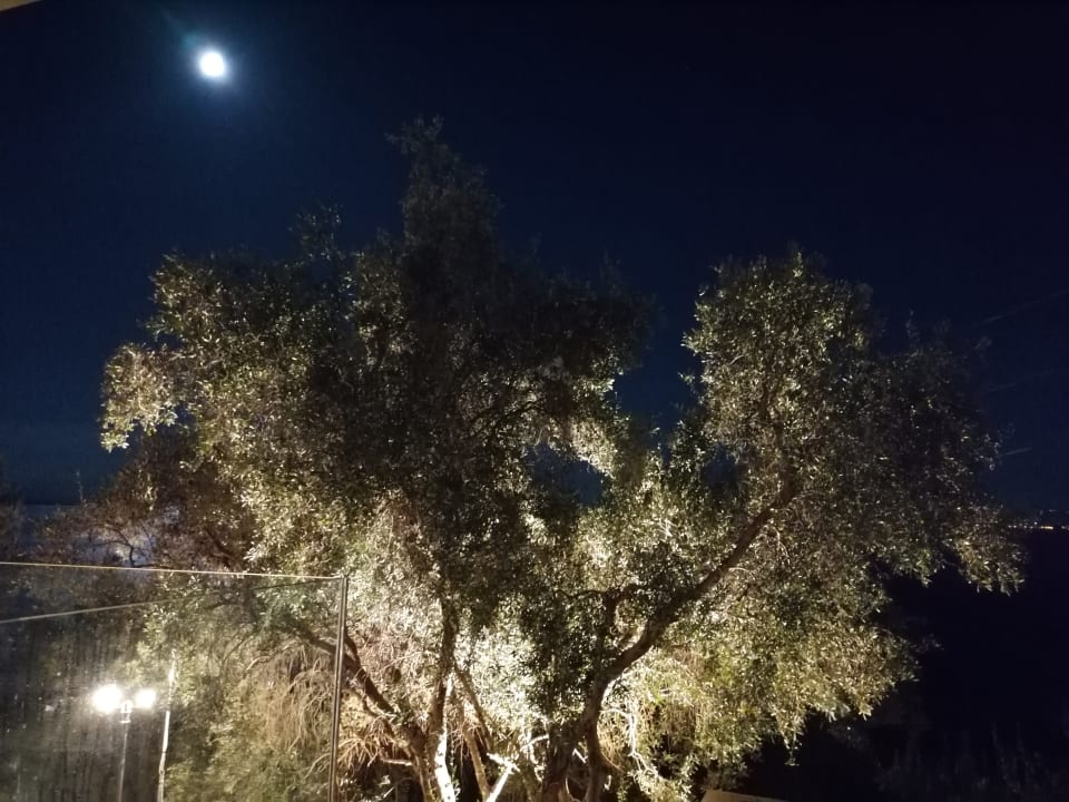 Zimmer Golden Mare Barbati Hotel