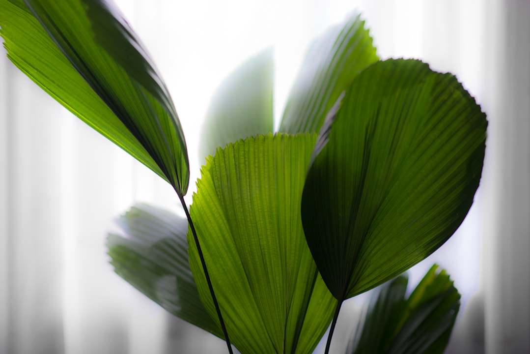 Sonstiges Sokkhak Boutique Resort