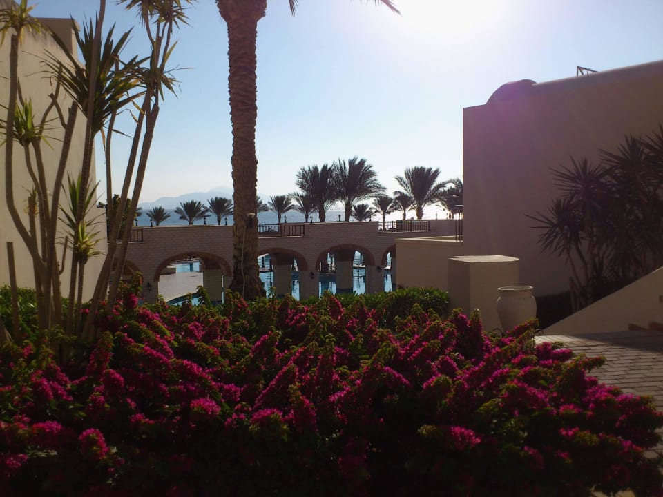 Von der Gartenanlage Blick über Pool zum Meer JAZ Belvedere Resort