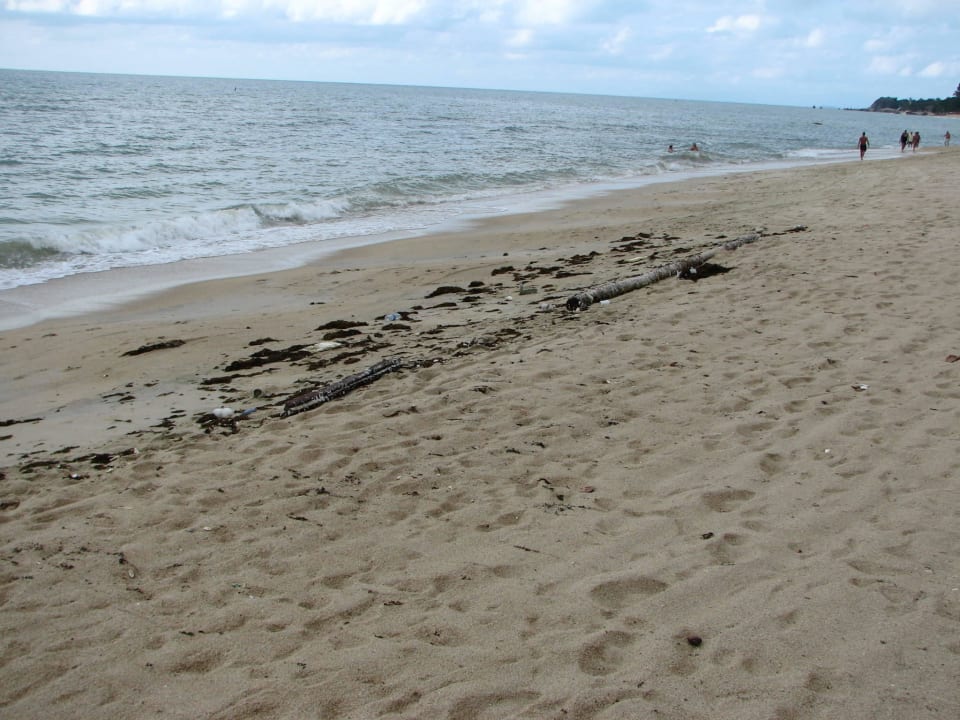 Müll, täglich ohne Ende Samui Laguna Resort