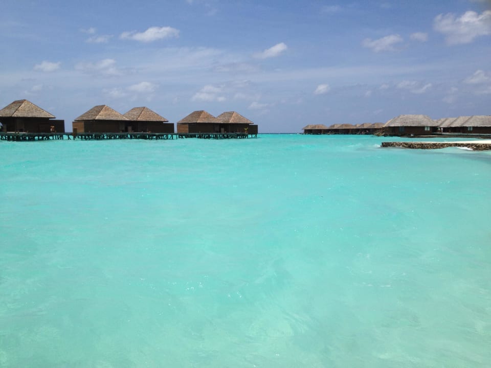 Bungalows Veligandu Maldives Resort Island