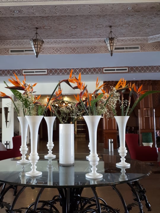 Lobby Pickalbatros Dana Beach Resort - Hurghada