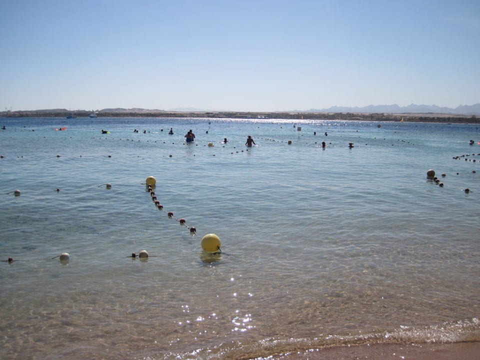 Korallenmeer Makadi Spa - Adults only