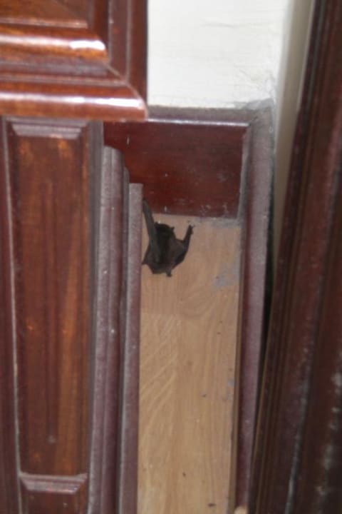 Besucher Belle Maison Hadana Hoi An Resort & Spa