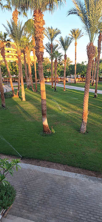 Gartenanlage Calimera Blend Paradise