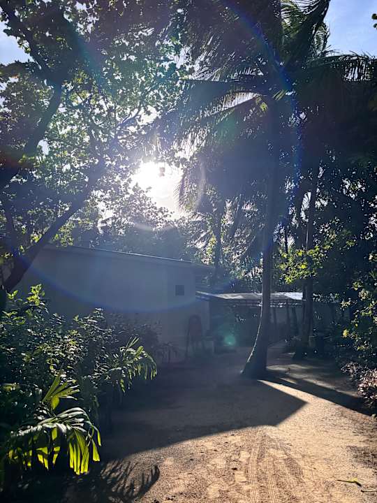 Gartenanlage Dreamland The Unique Sea & Lake Resort / Spa