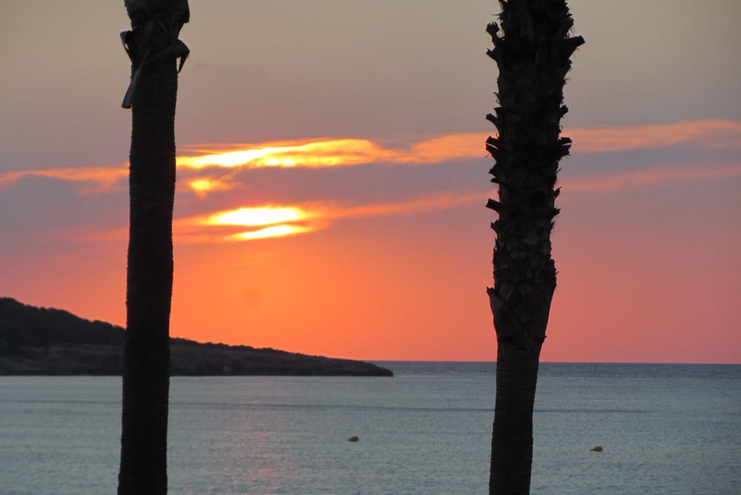 Sonnenaufgang Hipotels Mediterraneo Club
