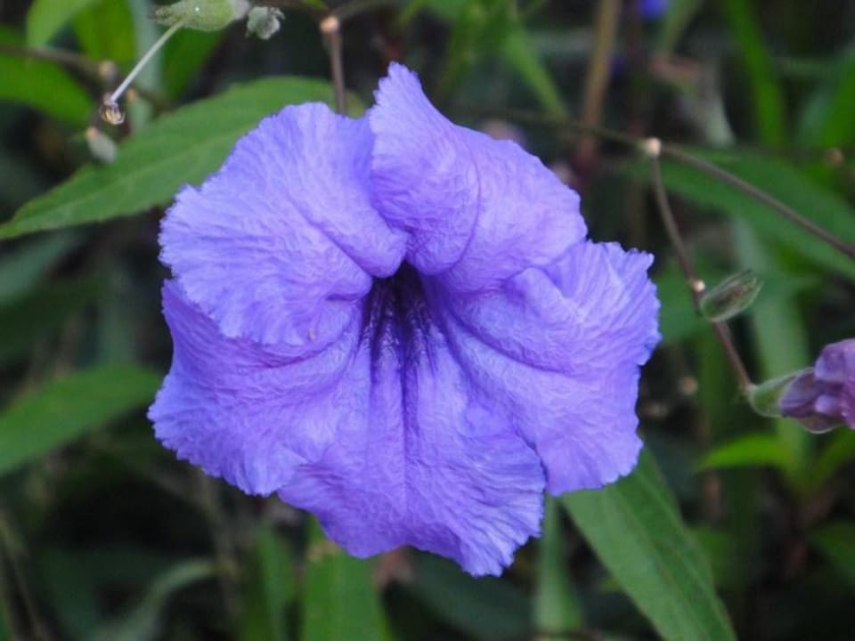 La spa Shandrani Beachcomber Resort & Spa