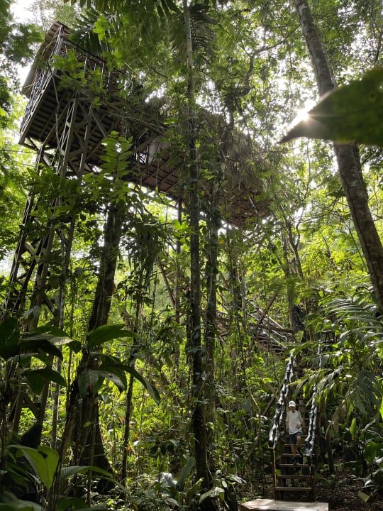 Zimmer Confort Arenal