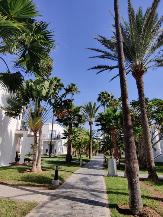 Gartenanlage Hotel Riu Palace Meloneras