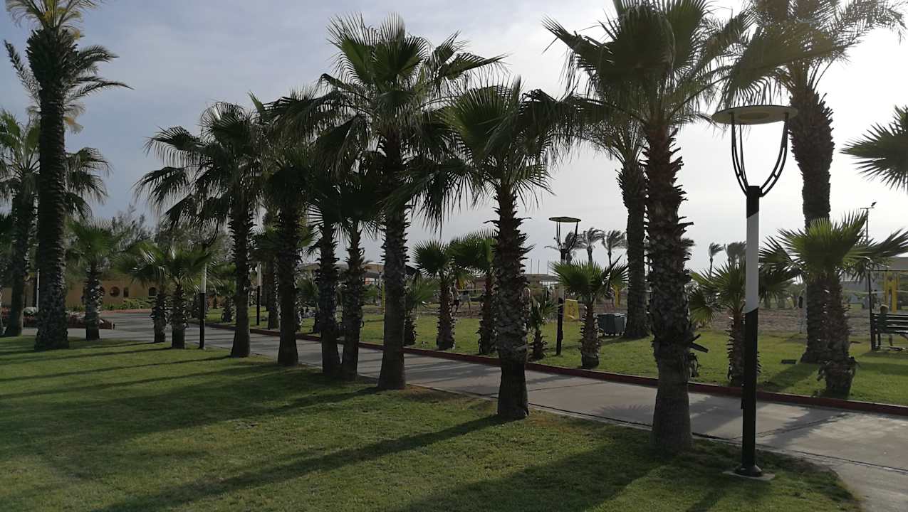 Gartenanlage Asteria Family Belek