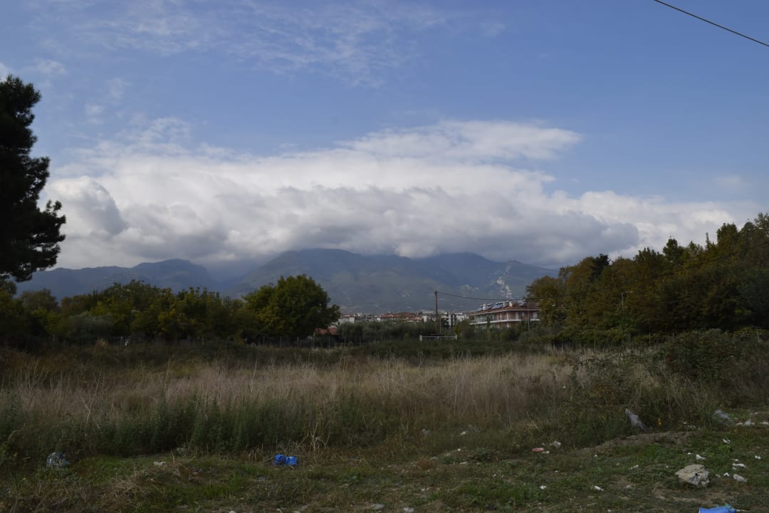 Ausblick alltoura Club Hotel Poseidon Palace