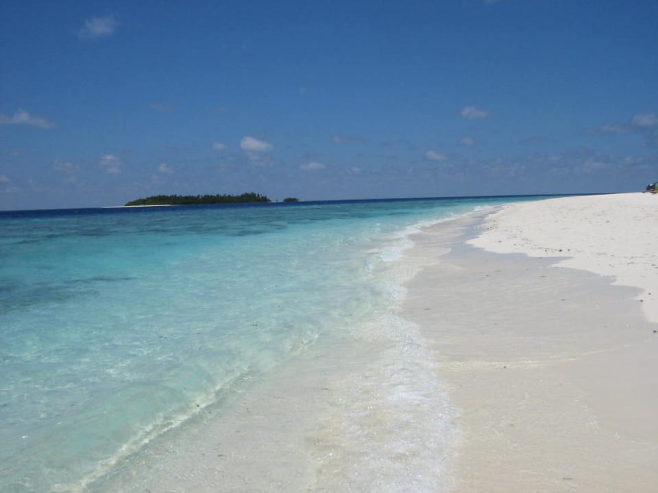 Da will man gleich wieder hin NH Collection Maldives Reethi Resort