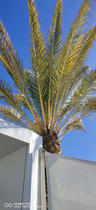 Außenansicht Garden & Sea Boutique Lodging by LIVVO