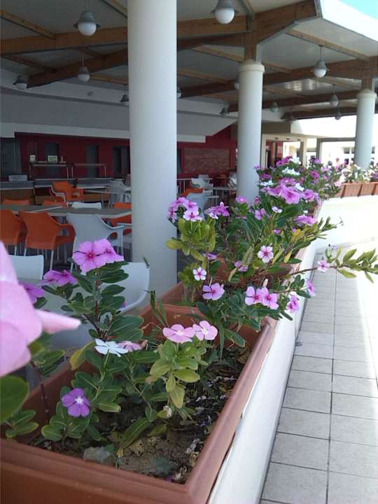 Schönes Aussenrestaurant für den kleinen Hunger Omar Khayam Resort & Aquapark