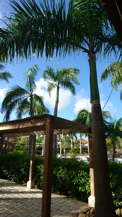Gartenanlage Villas Bavaro Resort & Spa