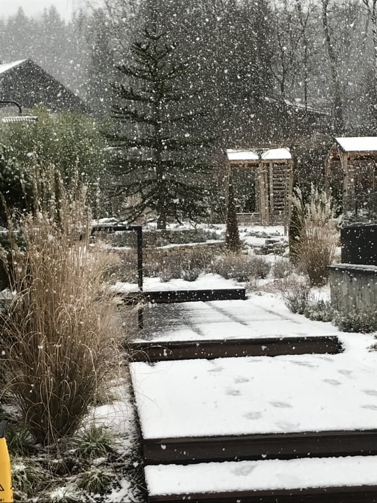 Gartenanlage Hotel Bayerwaldhof