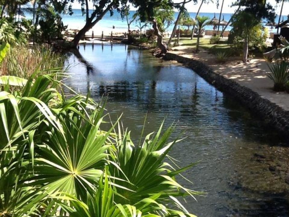 Blick auf die Lagune Maritim Resort & Spa Mauritius