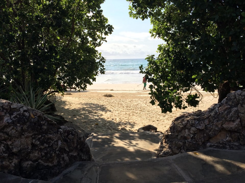 Strand The Sands At Chale Island