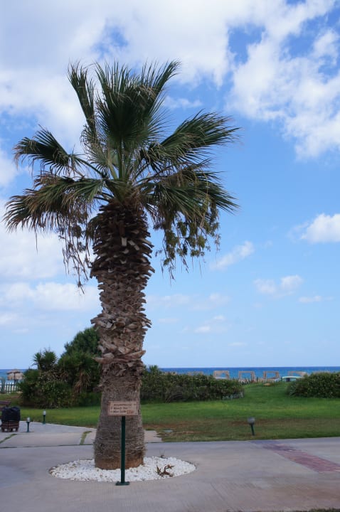 Gartenanlage Bella Beach Hotel