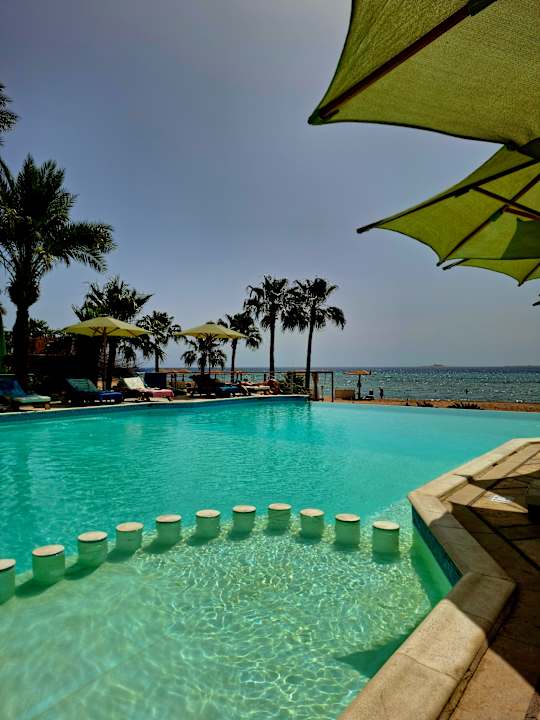 Pool Shams Prestige Abu Soma-Adults Only