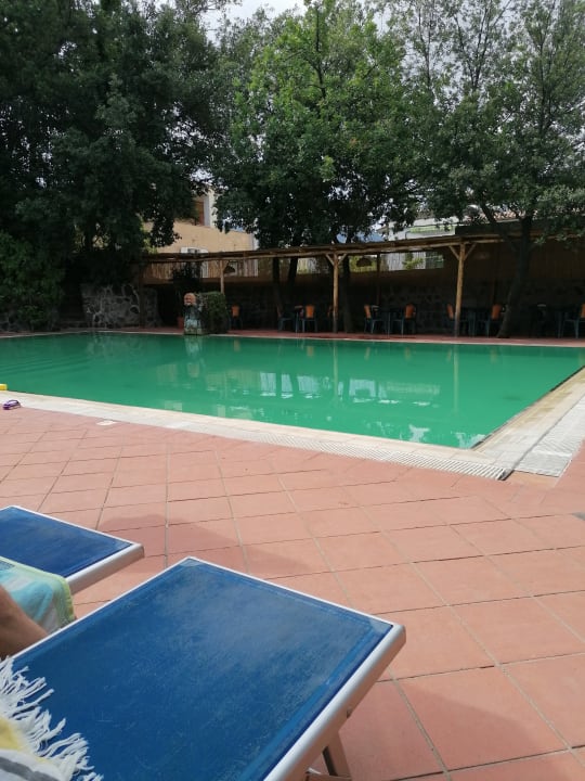 Pool Hotel Cleopatra