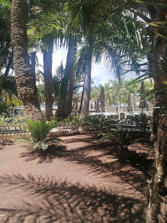 Gartenanlage Hotel Riu Palace Oasis