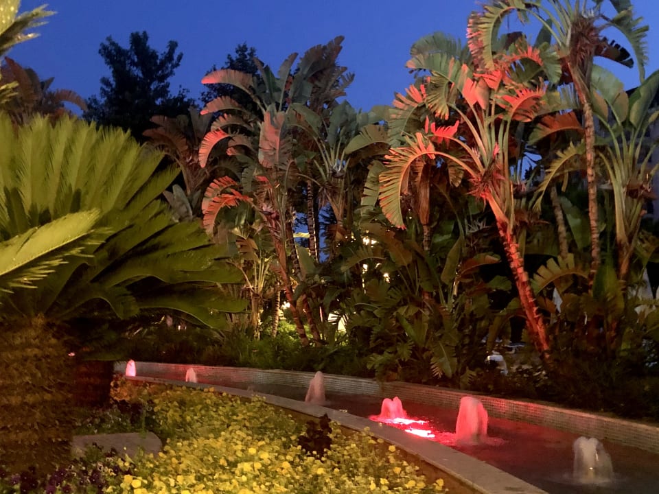 Gartenanlage Hotel Delphin Imperial