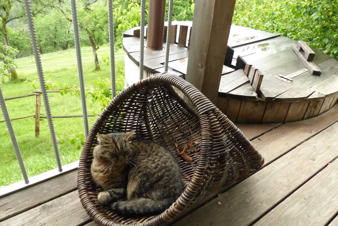Relaxen auf der Terrasse LUXGUT - OLIVIA