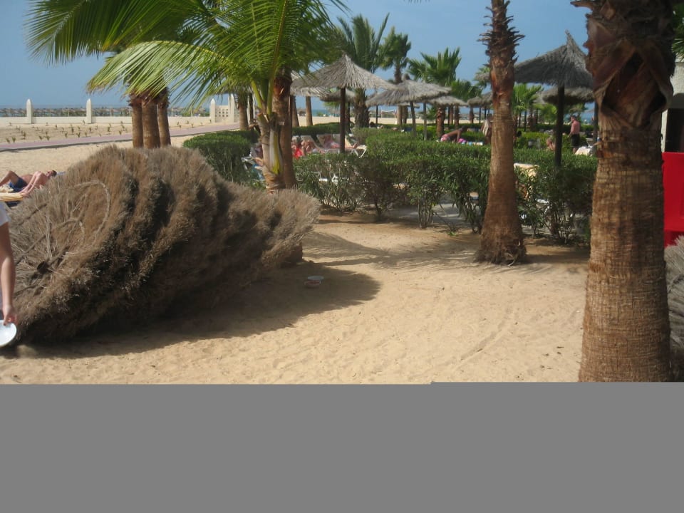 Schüsseln für die Tiere Hotel Riu Karamboa