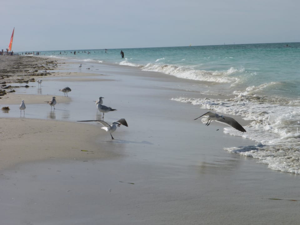 Etwas abseits vom Hotel Iberostar Origin Laguna Azul