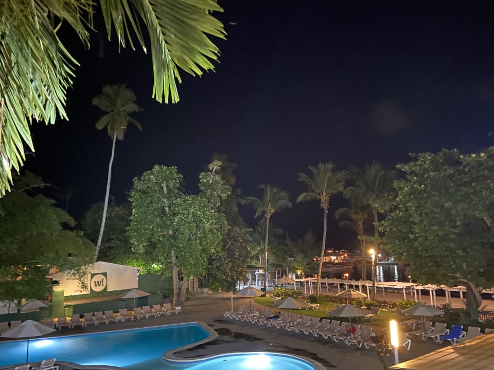 Pool whala!boca chica