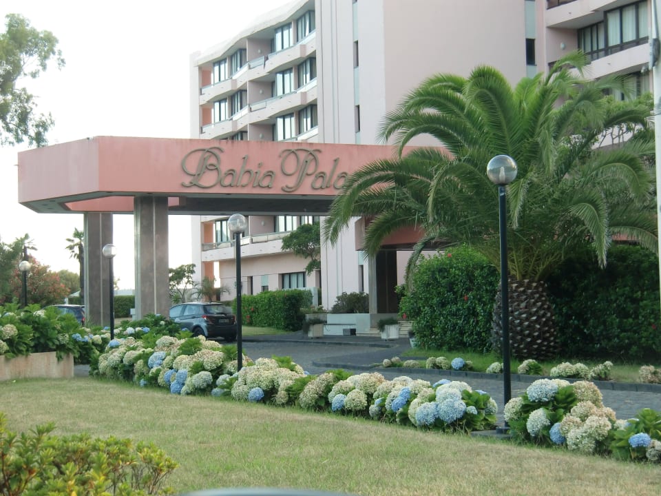 Hoteleingang mit Hortensienbepflanzung Pestana Bahia Praia Nature & Beach Resort