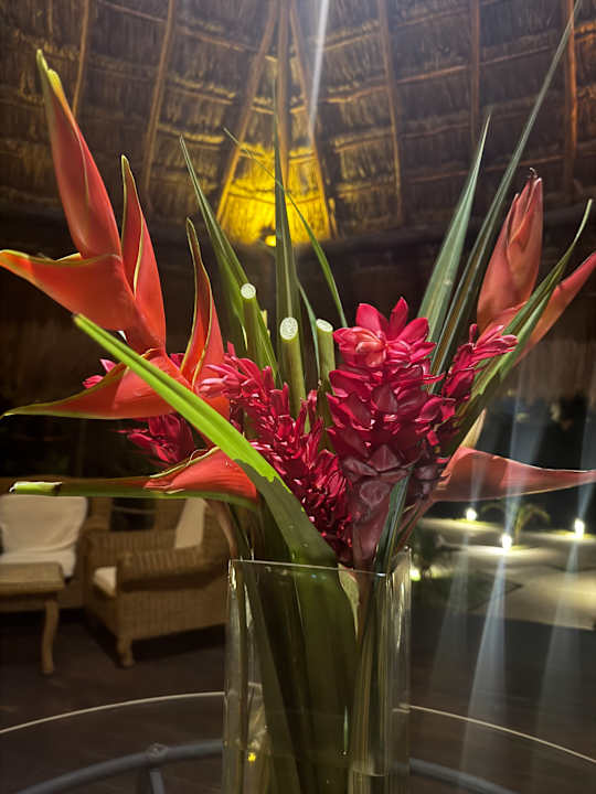 Gartenanlage Akumal Bay Beach & Wellness Resort