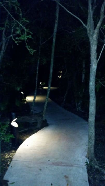 Hotel Catalonia Playa Maroma Catalonia Playa Maroma