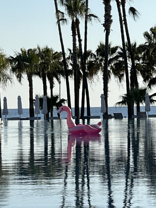 Pool Acanthus Cennet Barut Collection