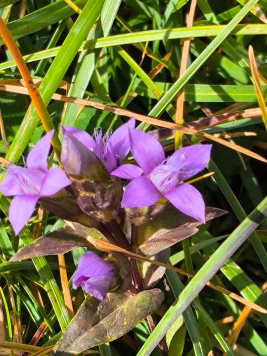 Außenansicht Hotel Tradizio