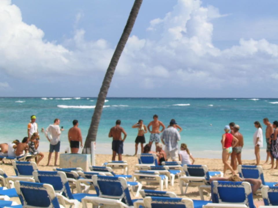 Strand VIK Hotel Arena Blanca