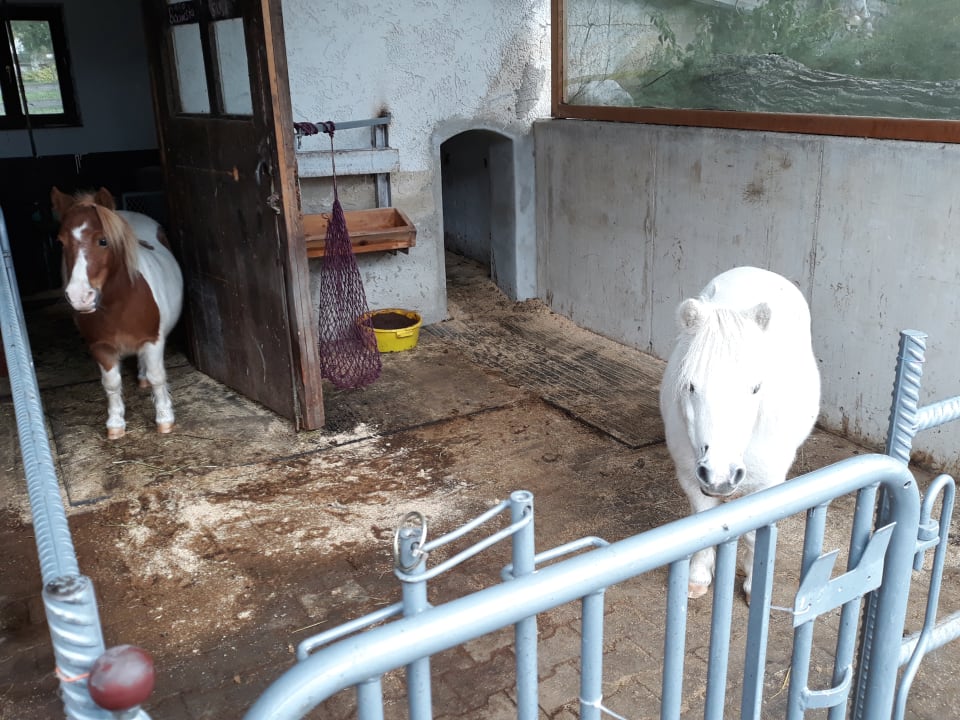 Sonstiges Gästehaus Zacherlhof