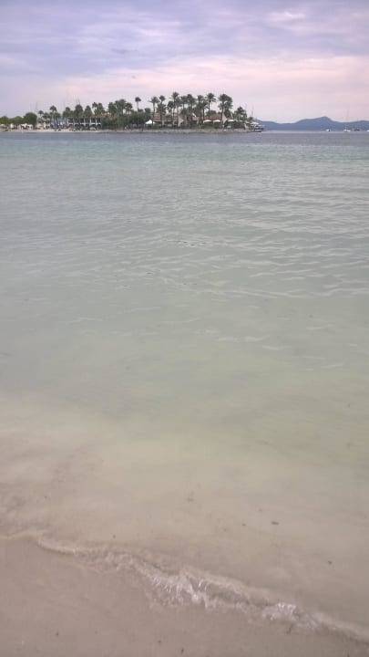 Strand Alcudia Garden Aparthotel