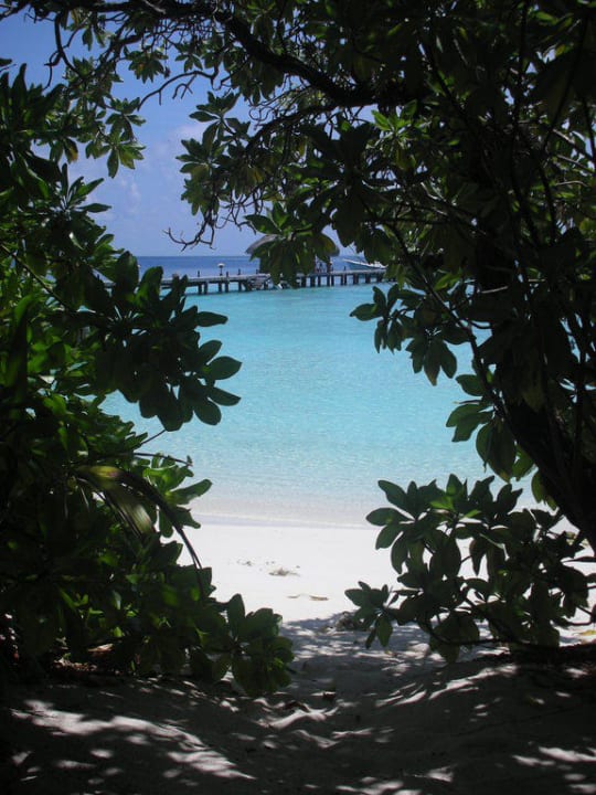 Blick auf das Meer Eri Maldives