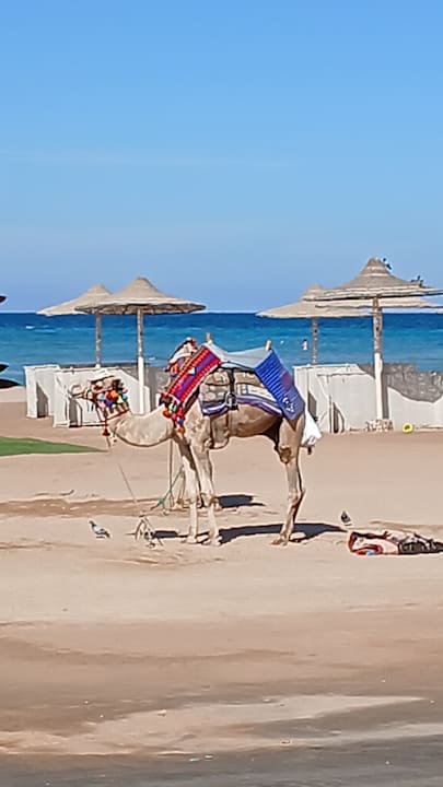 Strand Hurghada Long Beach Resort