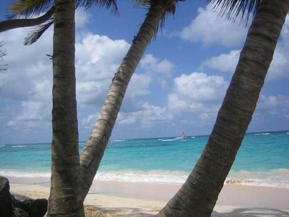 Hotelstrand - Strandbereich Hotel Riu Palace Bavaro
